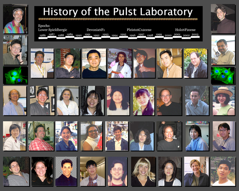 History of the Pulst Lab